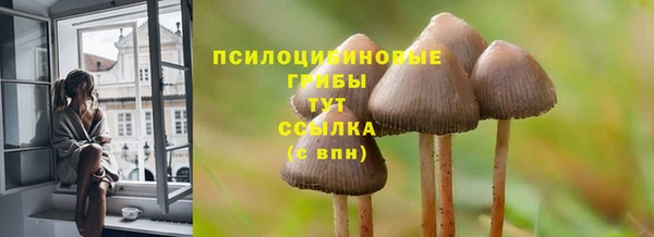 дмт Баксан