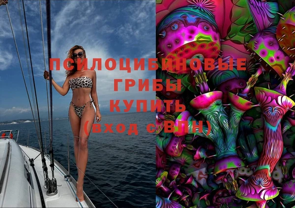 каннабис Аркадак